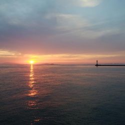 播磨新島に秋ギスの気配