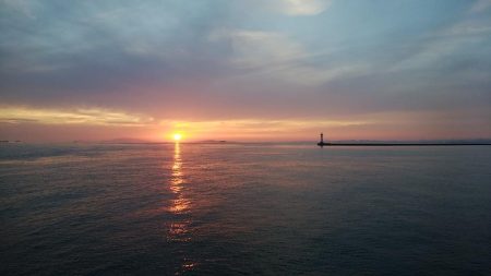 播磨新島に秋ギスの気配