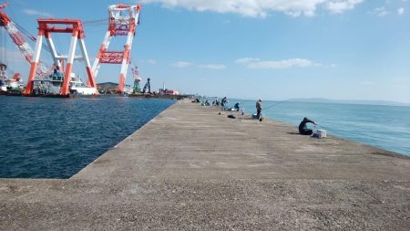 播磨新島でキス狙い