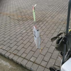 ラトル音で魅せろ!笑 鯖ゲーム