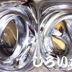 ナイスバディのタチウオ釣れた。