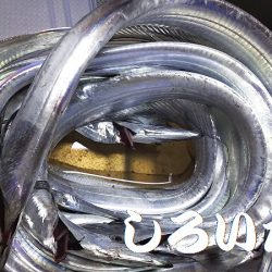 サバの姿が、無くなった?