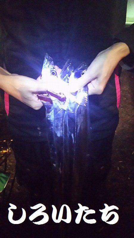 最初はよかった。