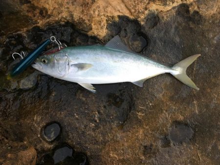 早く自分ぐらいのレベルに追いついてほしいも…