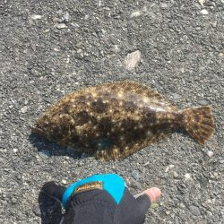 フカセ釣りチヌ