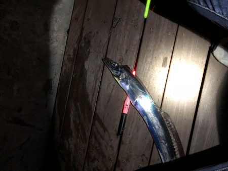 フィッシングホテル