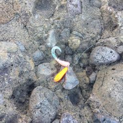 ショアジギング