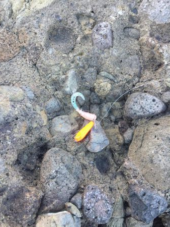 ショアジギング