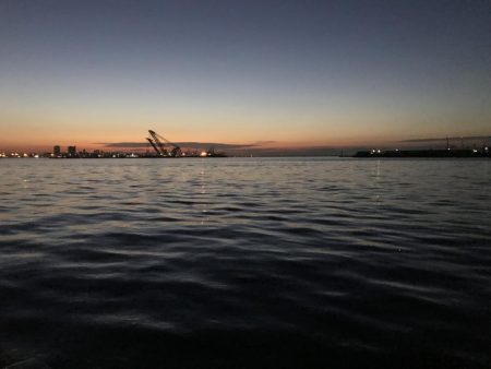 サバをエサにサバ。