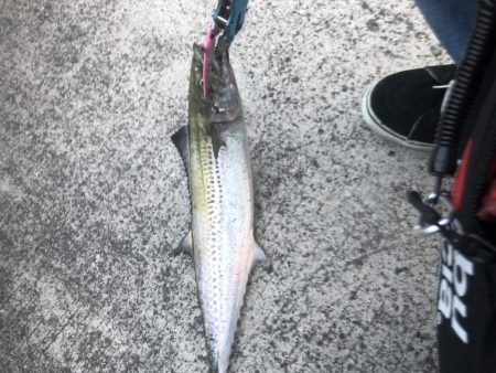 ライトショアジギング