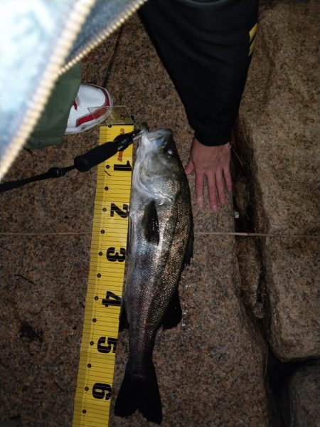 ベイトたくさんでワクワク