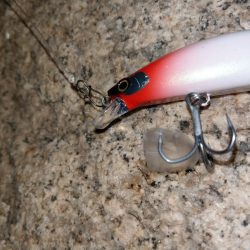 反応はあるが…