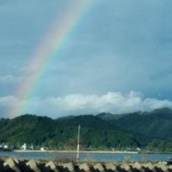 キジハタを求めて