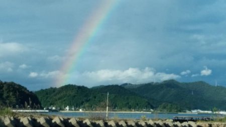 キジハタを求めて