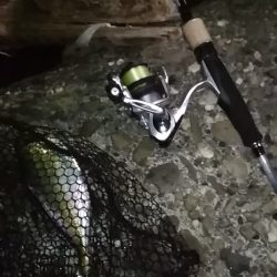 アジ鯵アジ鯵アジ鯵