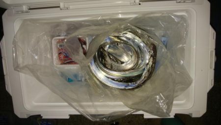 どじょうすげぇ！