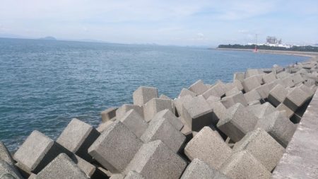 メタルジグでサワラ80cm!