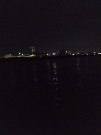 今年は少ないなぁ…