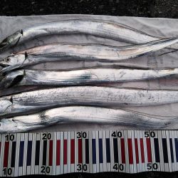 根掛かり王の逆襲