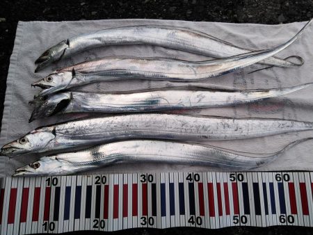 根掛かり王の逆襲