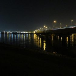 久しぶりの旧江戸川!