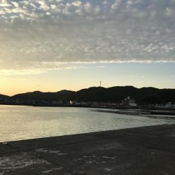 飽きない程度にあたりあり