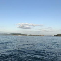 去年の経験が活きた釣行