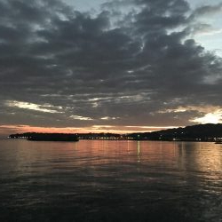 まずまずのサゴシ