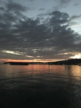 まずまずのサゴシ