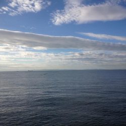 タチウオらん舞