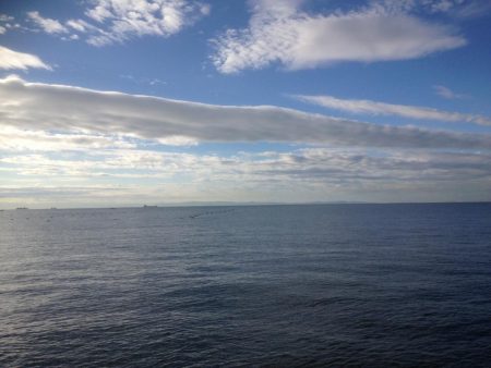 タチウオらん舞