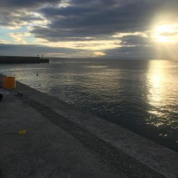 夜通しの刀狩り