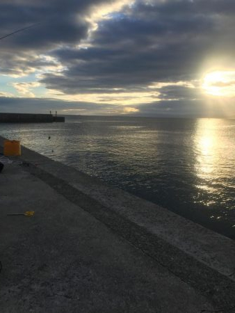 夜通しの刀狩り