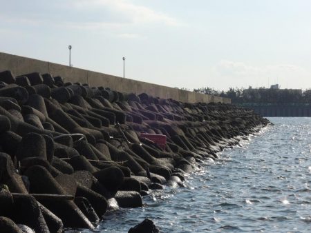 ハネ狙ったがセイゴばかり