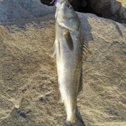 人多すぎ！マナーが…！