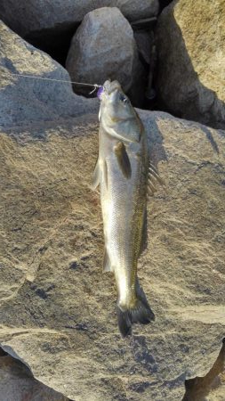 人多すぎ！マナーが…！