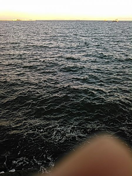 ライトショアジギング