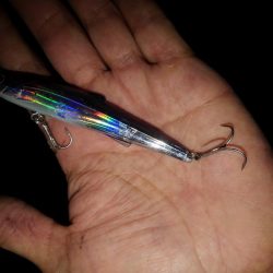 リバーシーバス