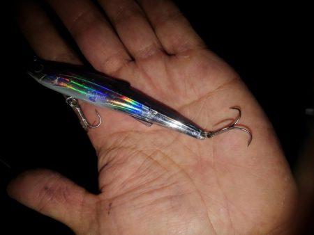 リバーシーバス