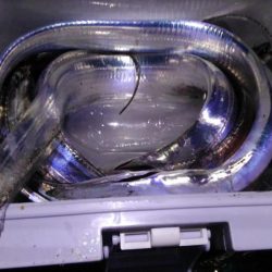 おおう、坊主じゃなかった!