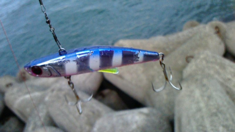 青物狙いのはずが