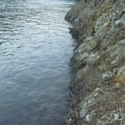 チャターベイトで