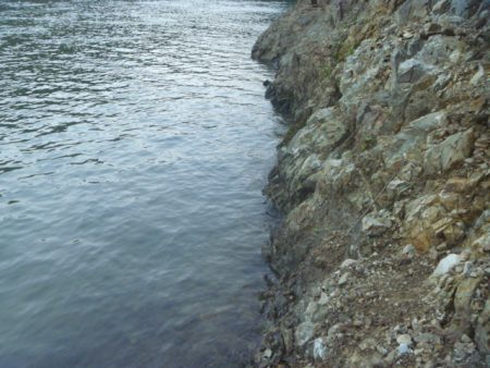 チャターベイトで