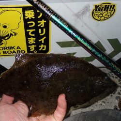 カレイ（投げ釣り）