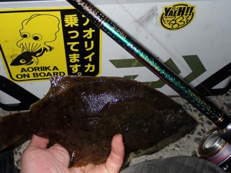 カレイ（投げ釣り）