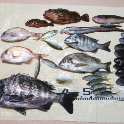 久々ウキフカセ