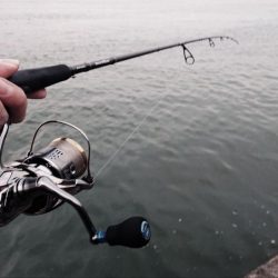 夕練シーバス狙い