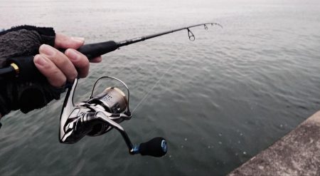 夕練シーバス狙い