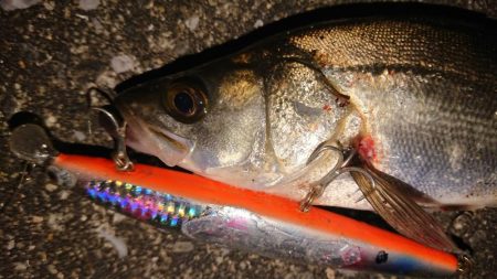 波止際サラシパターン