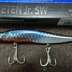 デカシーバス無念のラインブレイク…